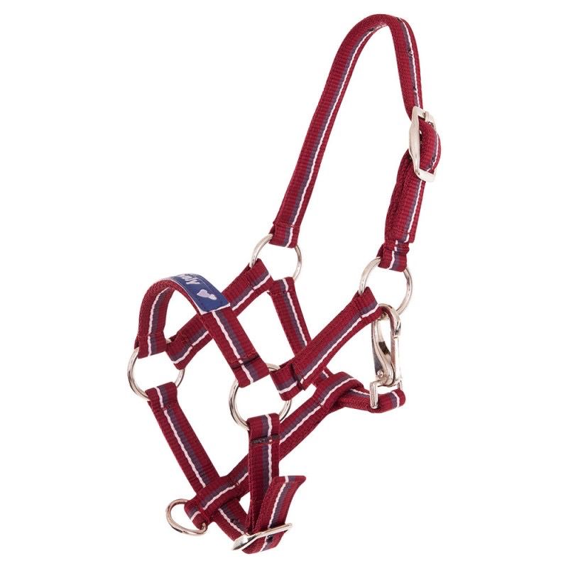 Premiere Foal Halter Fun, Color: Pink, Size: XS veulen