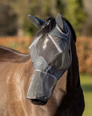 Fly Masks &amp; Fly Fringes
