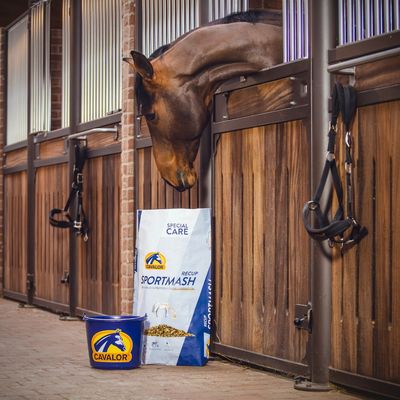 Feed &amp; Supplements