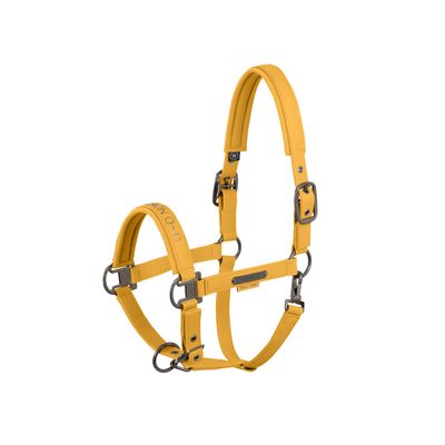 Eskadron Halter Faux Leather Double Pin Platinum 25