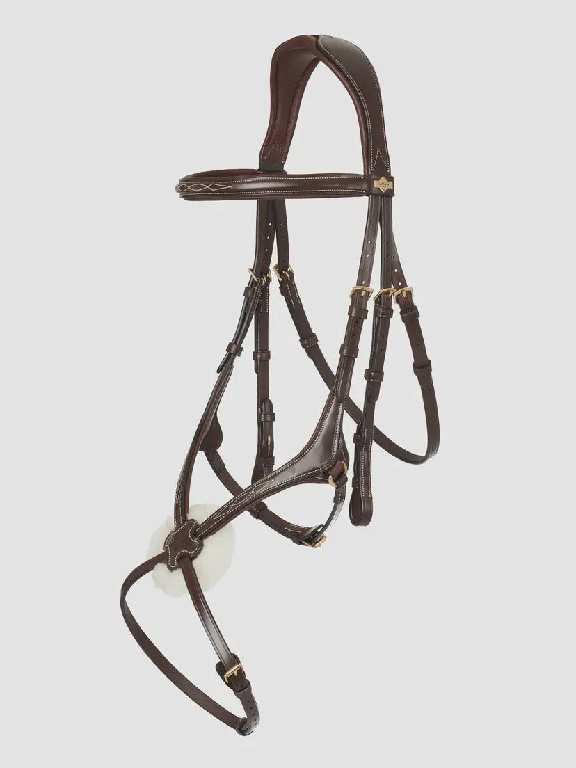 LeMieux Kudos Grackle Bridle Havana, Color: Havana, Size: Full