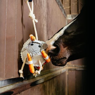 Horse Toys