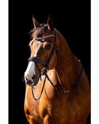 HB Showtime Jump Rocky Glitter Bridle
