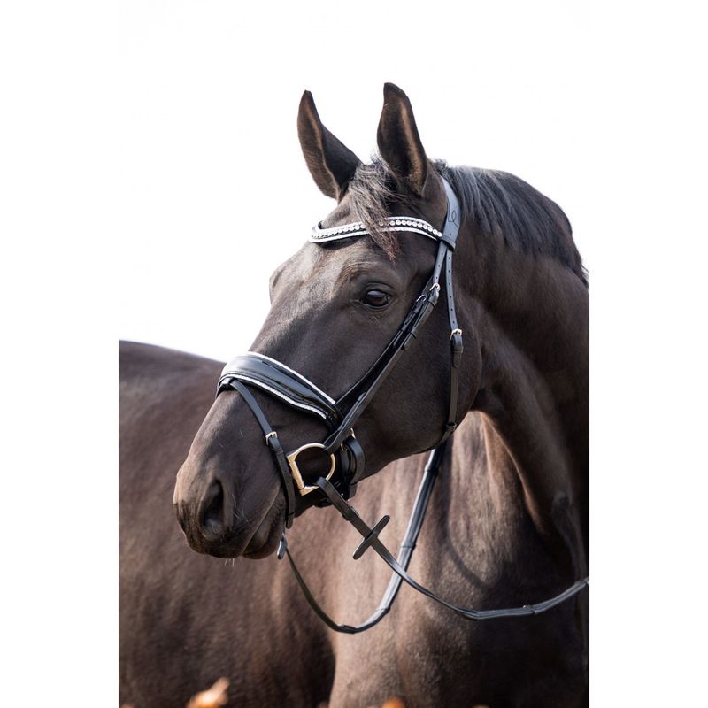 HB Showtime It Is So Special Bridle