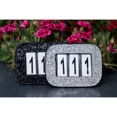 HB Showtime Glitter Bridle Numbers