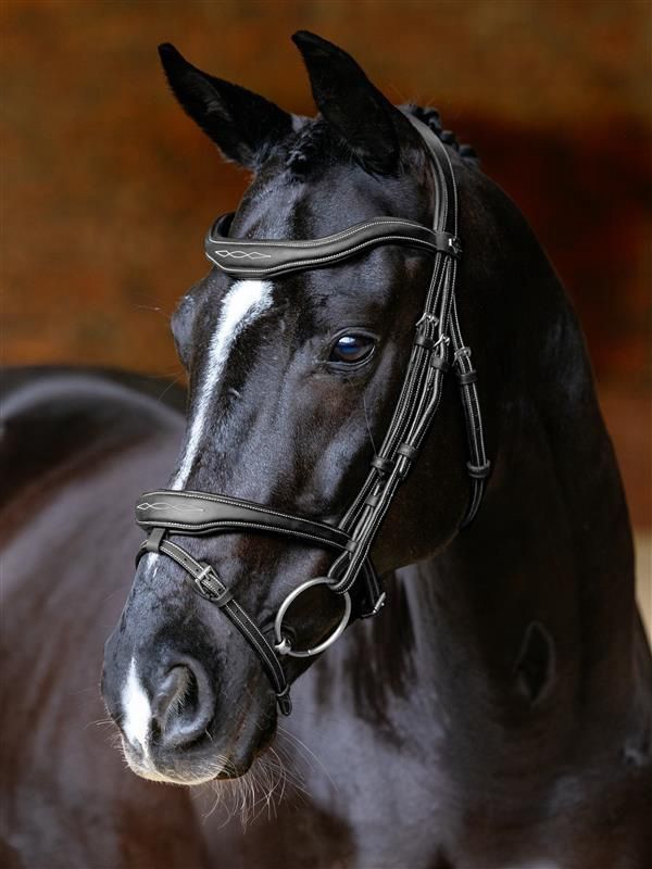 LeMieux Kudos Contour Flash Bridle