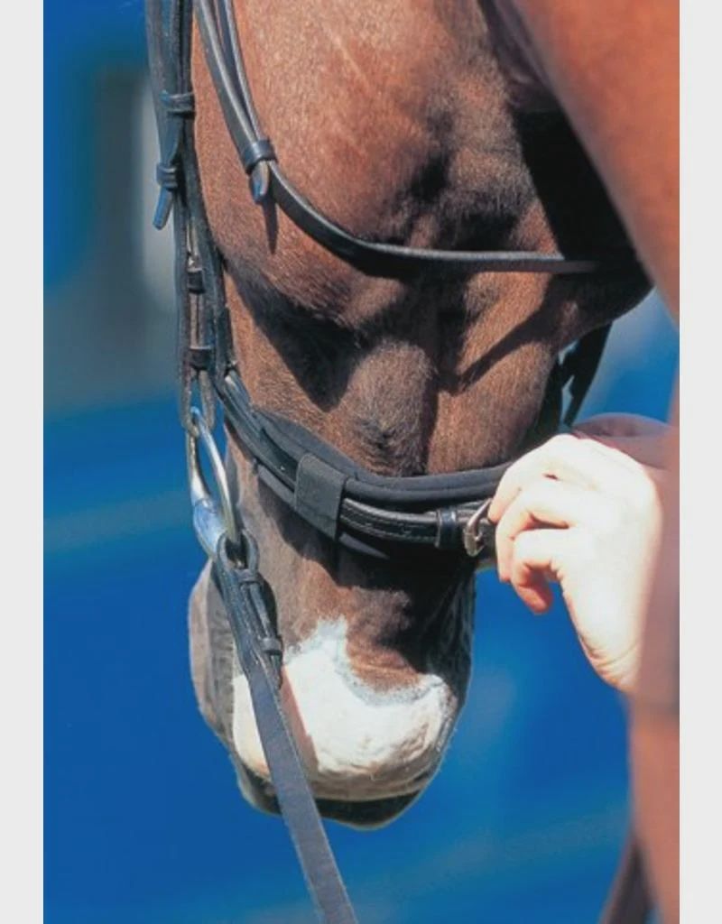 Prolite Bridle Pad – Nose Protector