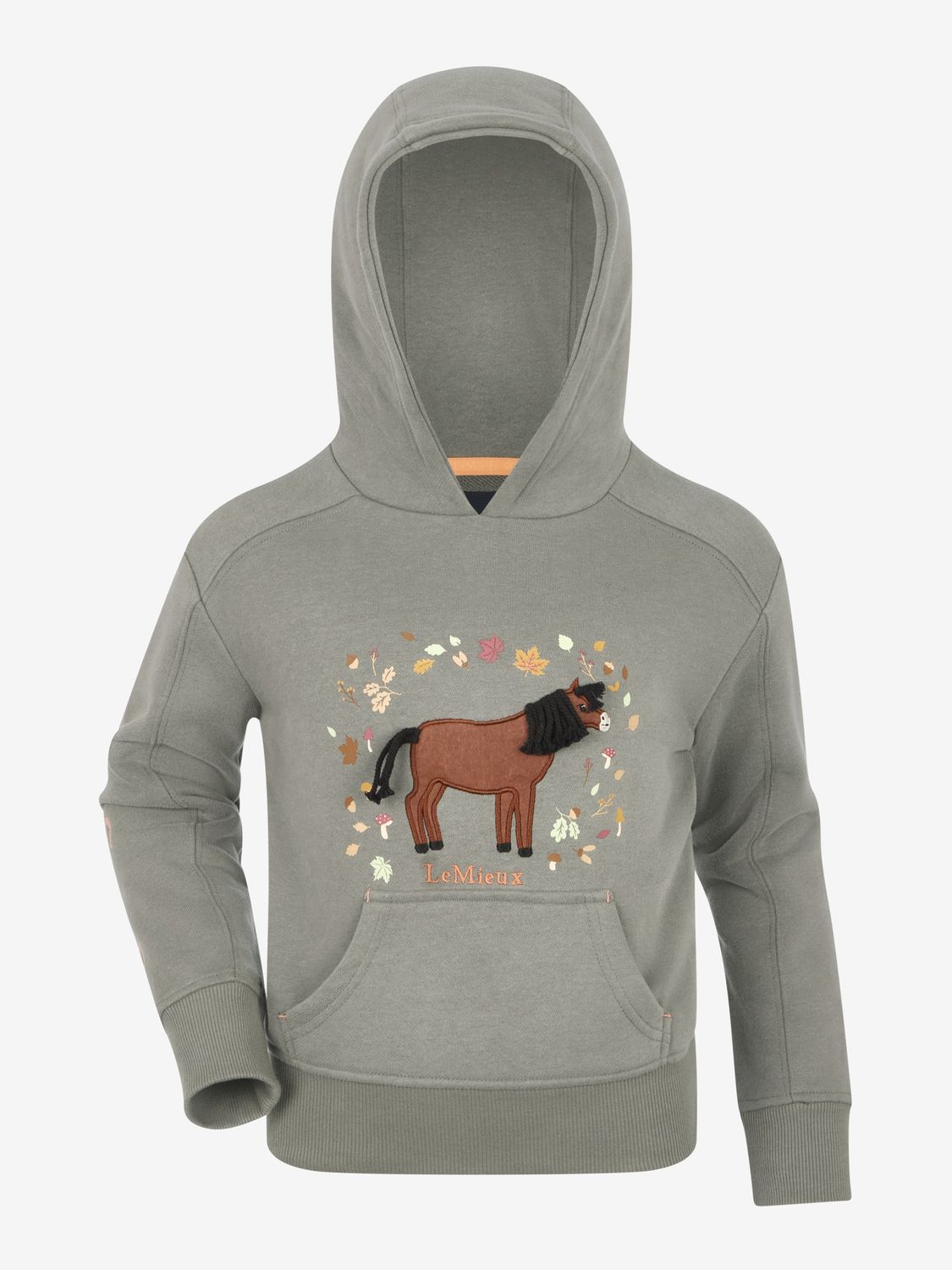 Lemieux Mini Romi Hoodie Kids, Color: Rosemary, Size: 9-10