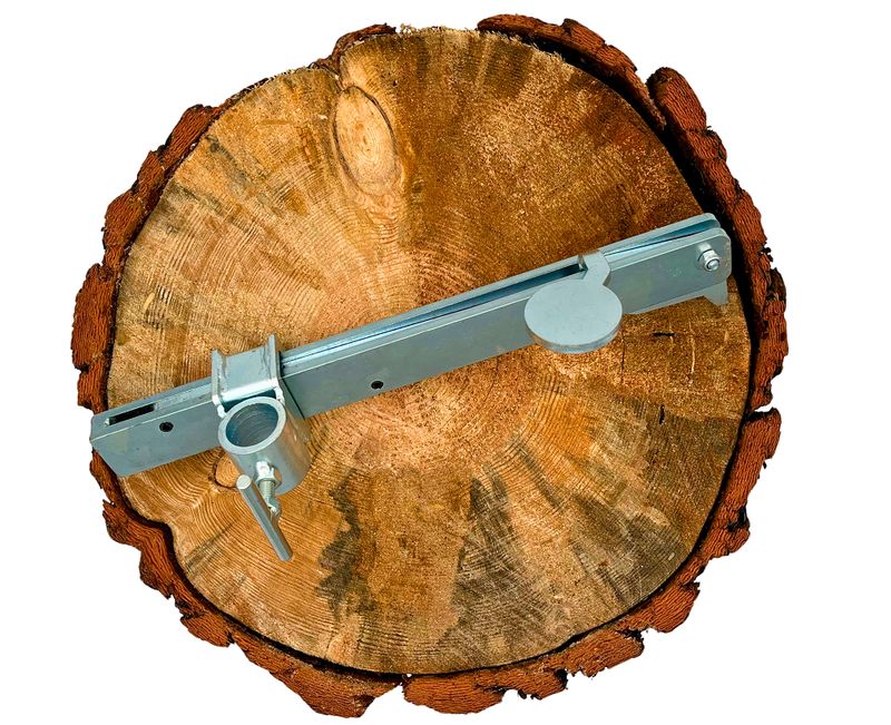 Range Road Cam Log Dog