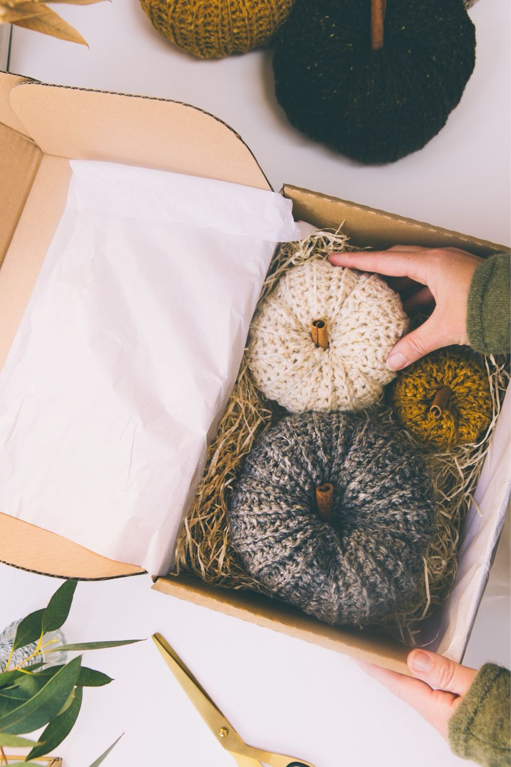 Large Grey Pumpkin