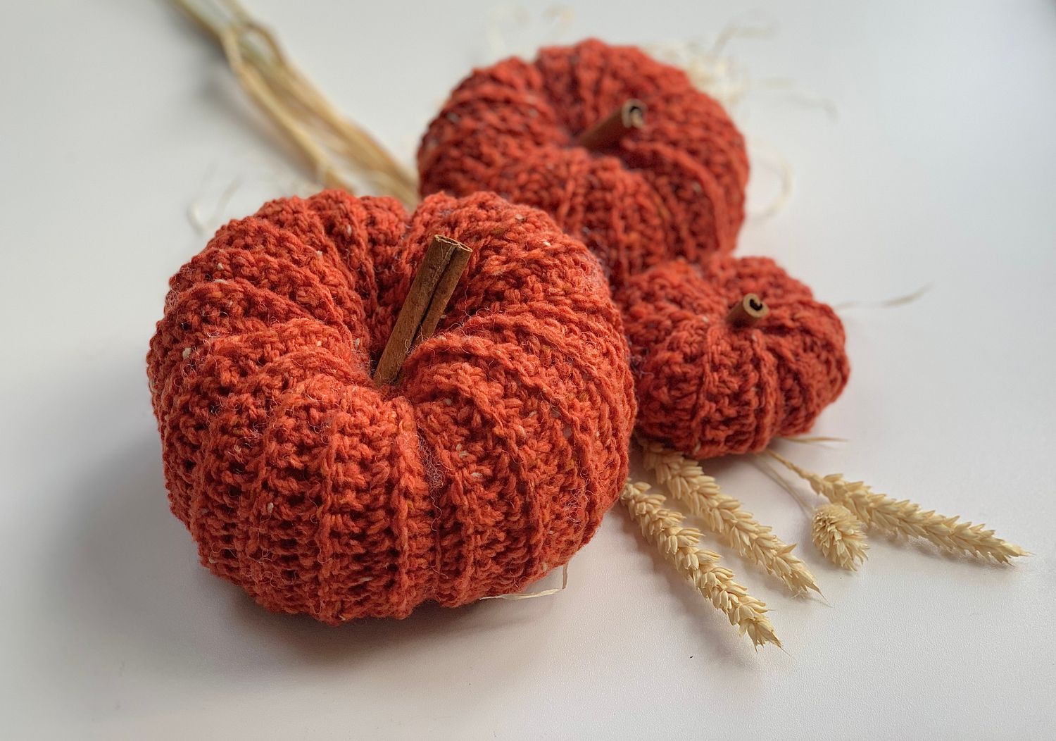 Large orange pumpkin