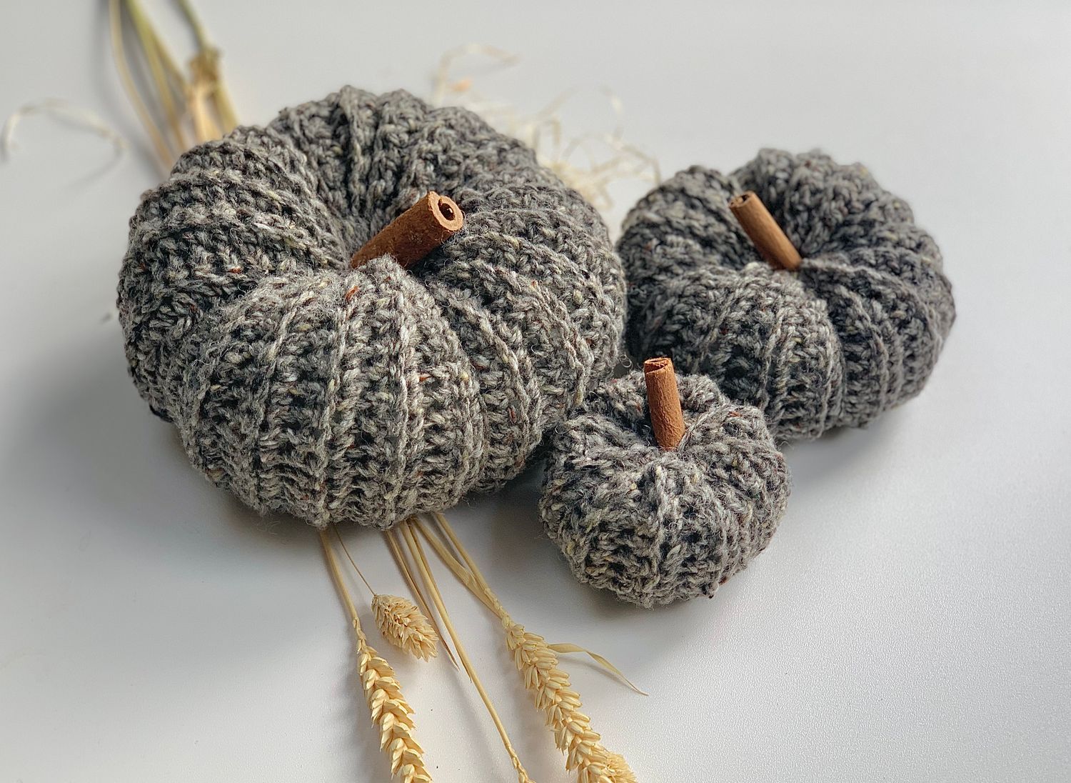 Small grey pumpkin