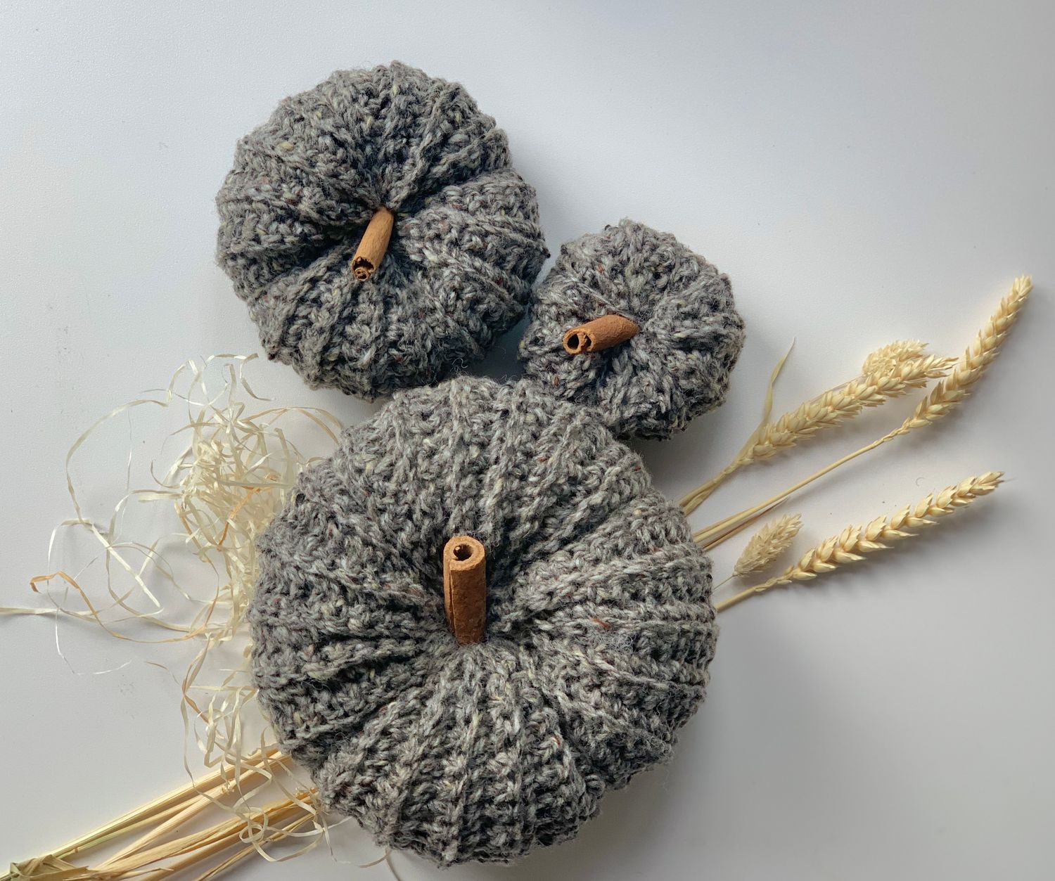 Medium grey pumpkin