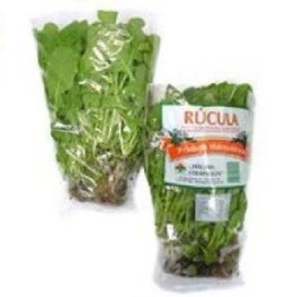 Rúcula Hidropônica