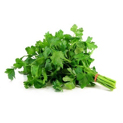 Salsa