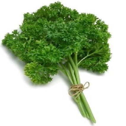 Salsa Crespa