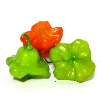 Pimenta Cambuci - Pct 250 GR