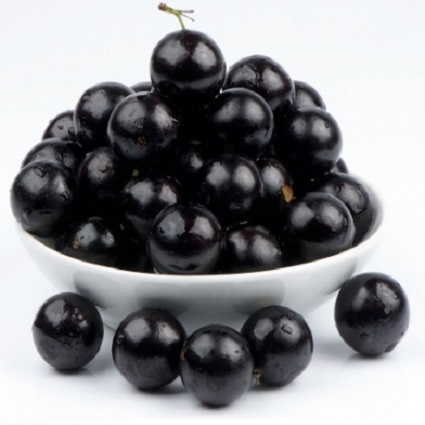 Jabuticaba