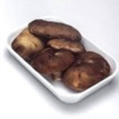 Shitake