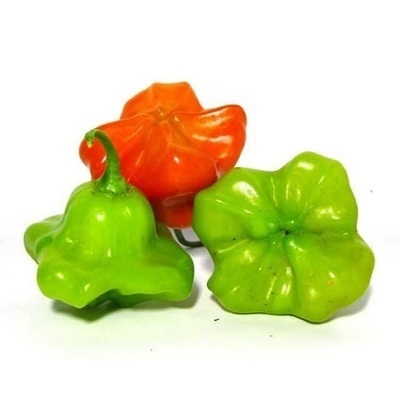 Pimenta Cambuci - Pct 250 GR