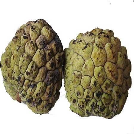 Fruta do Conde - Pinha - Caixa