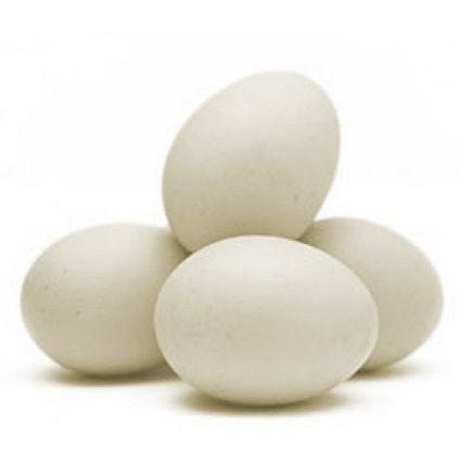 Ovos Branco (Tipo Extra)