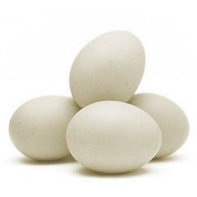 Ovos Branco (Tipo Extra)