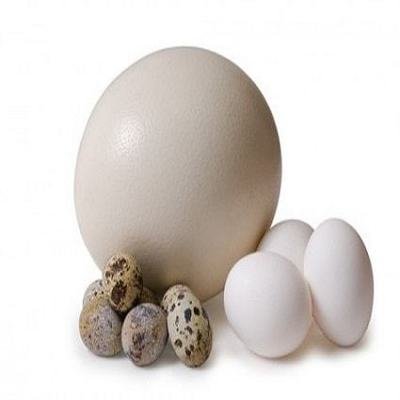 Ovos