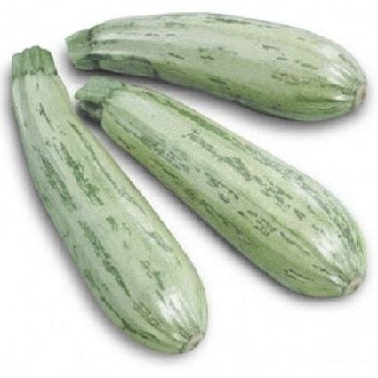 Abobrinha