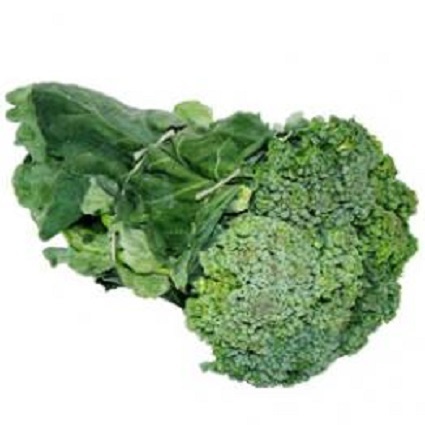 Brócolis Comum