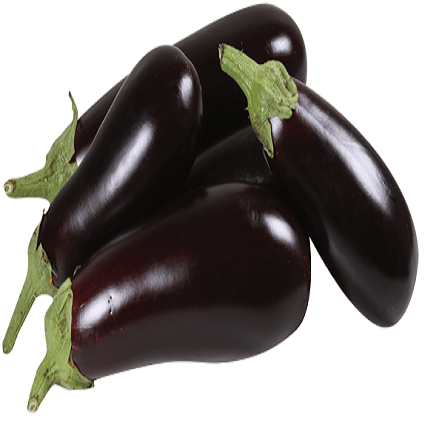 Berinjela