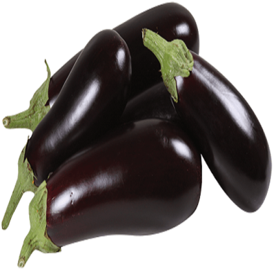 Berinjela