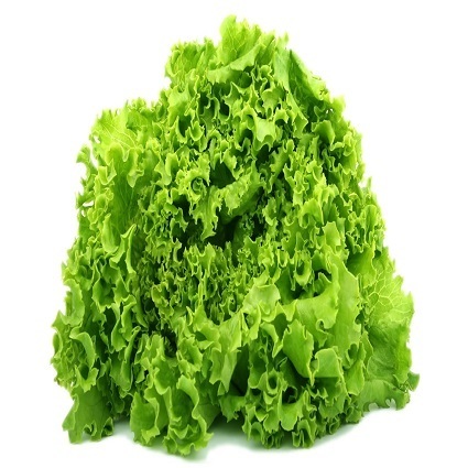 Alface Crespa