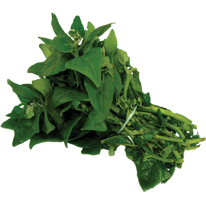 Espinafre