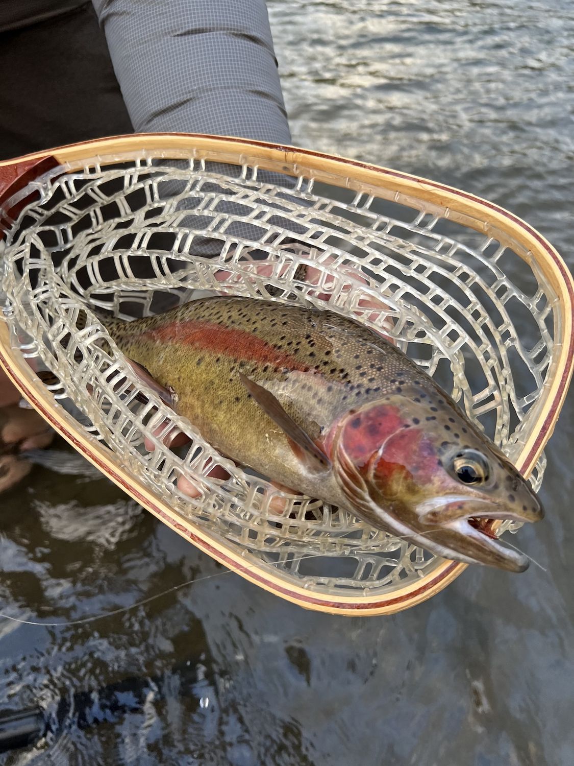 BOOK FISHING TOUR