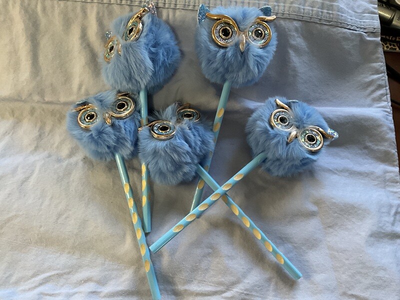 Blue small face owl