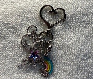 Phone and Key Ring accessory