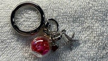 Phone and Key Ring accessory