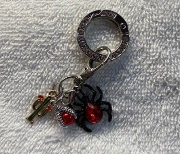 Phone and Key Ring accessory