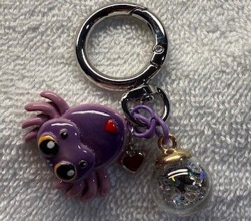 Phone and Key Ring accessory