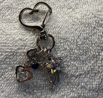 Phone and Key Ring accessory