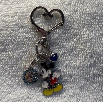 Phone and Key Ring accessory