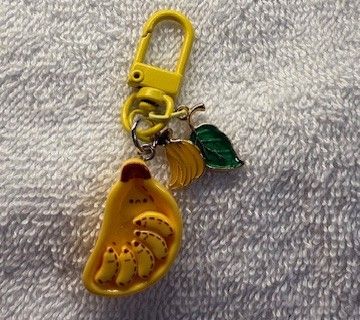 Phone and Key Ring accessory