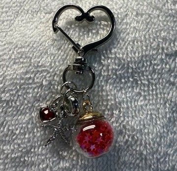 Phone and Key Ring accessory