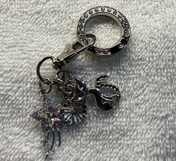 Phone and Key Ring accessory