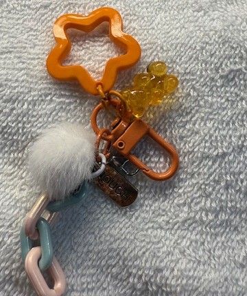 Phone and Key Ring accessory