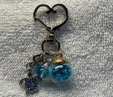 Phone and Key Ring accessory