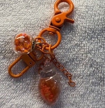 Phone and Key Ring accessory