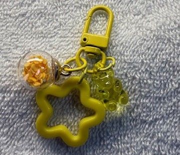 Phone and Key Ring accessory