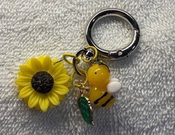 Phone and Key Ring accessory